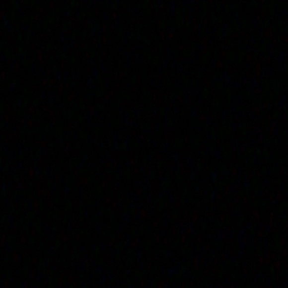 Meet your Posher, Haley - Picture 1 of 1